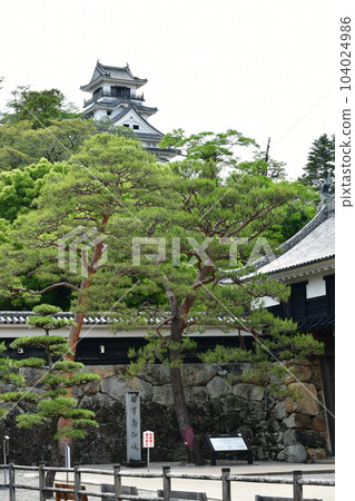 Kochi Castle in early summer Otemon Tsumemon Tenshu Honmaru Goten Black Iron Gate Kochi Castle in early summer Otemon Tsumemon Tenshu Honmaru Goten Black Iron Gate 104024986