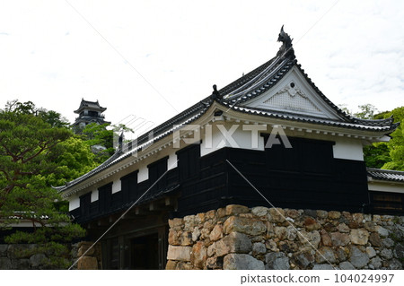 Kochi Castle in early summer Otemon Tsumemon Tenshu Honmaru Goten Black Iron Gate 104024997