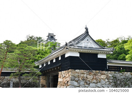 Kochi Castle in early summer Otemon Tsumemon Tenshu Honmaru Goten Black Iron Gate 104025000