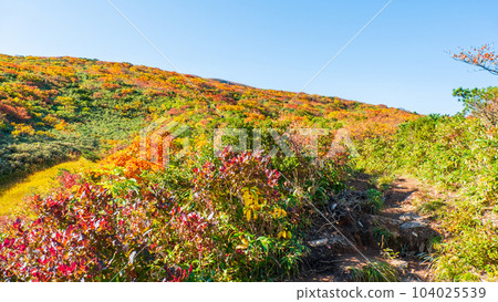 Kurikoma Mountain Climbing in Autumn (Ubanuma Course) 104025539
