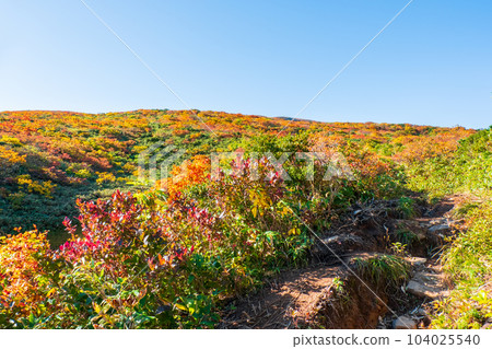 Kurikoma Mountain Climbing in Autumn (Ubanuma Course) Kurikoma Mountain Climbing in Autumn (Ubanuma Course) 104025540