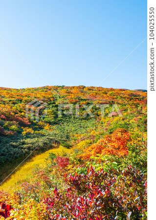 Kurikoma Mountain Climbing in Autumn (Ubanuma Course) Kurikoma Mountain Climbing in Autumn (Ubanuma Course) 104025550