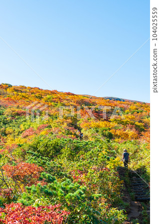 Kurikoma Mountain Climbing in Autumn (Ubanuma Course) 104025559