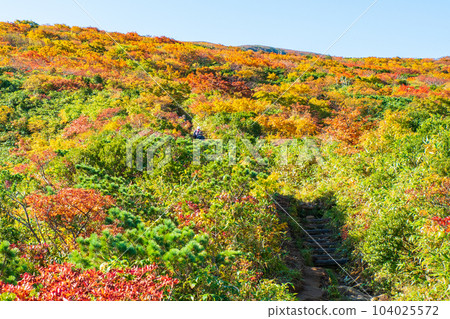 Kurikoma Mountain Climbing in Autumn (Ubanuma Course) Kurikoma Mountain Climbing in Autumn (Ubanuma Course) 104025572