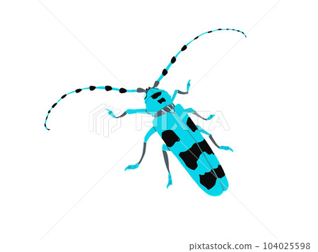 Ruri Boshikiki 104025598