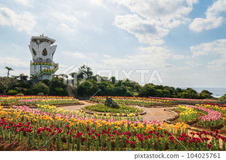 在南部島嶼（沖之良部島）的公園裡盛開的百合花 104025761