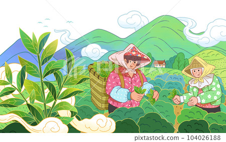 Tea farmers collecting tea leaves 104026188