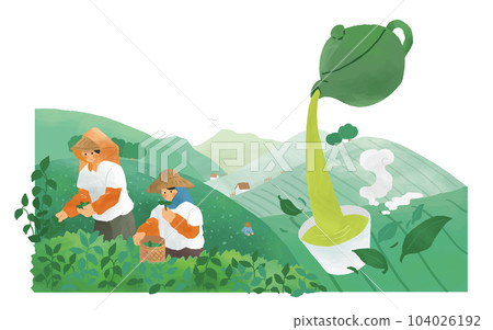Tea farmers working in tea field 104026192
