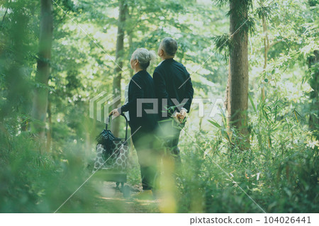 senior, husband and wife, back view 104026441