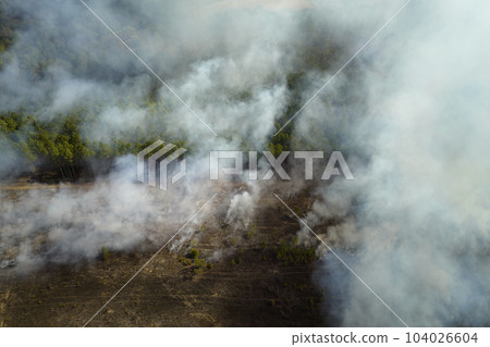 View from above of dense smoke from woodland and field on fire rising up polluting air. Concept of natural disaster 104026604