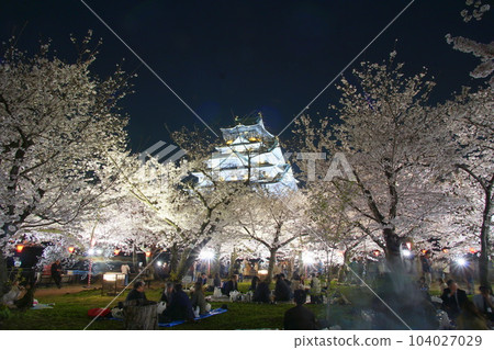 Osaka Castle Night Cherry Blossom Illumination Nishinomaru Garden 104027029