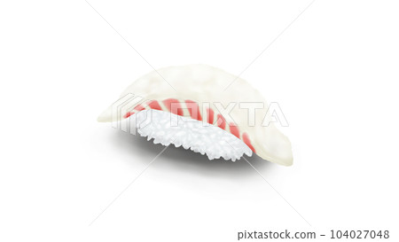 Sea bream nigiri sushi realistic illustration Sea bream nigiri sushi realistic illustration 104027048
