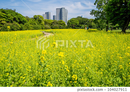 Take a stroll around Shiodome 104027911