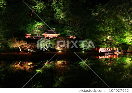 light up of fresh green 104027922