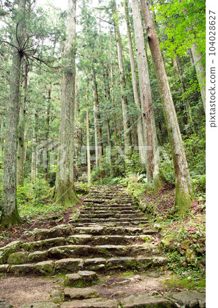 Stone steps of Mount Horaiji (Shinshiro City, Aichi Prefecture) 104028627