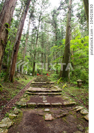 Stone steps of Mount Horaiji (Shinshiro City, Aichi Prefecture) Stone steps of Mount Horaiji (Shinshiro City, Aichi Prefecture) 104028630
