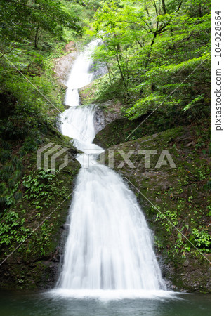 Seven Waterfalls of Atera (Shinshiro City, Aichi Prefecture) 104028664