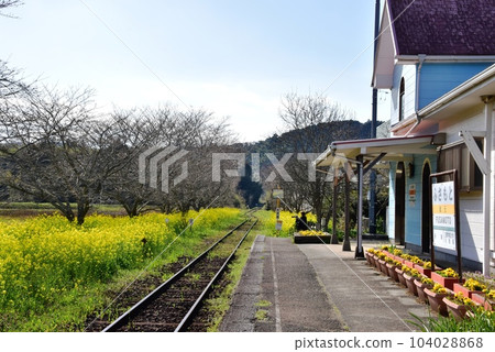 Otaki Town Isumi Railway Soumoto Station Platform and Canola Flowers in Full Bloom 104028868