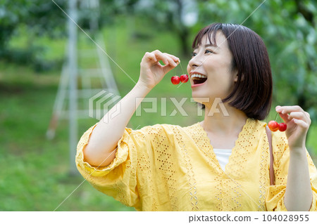 Women picking cherries Women picking fruits Women picking cherries Women picking fruits 104028955