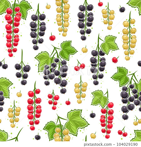 Vector Currant Branches Vector Currant Branches 104029190