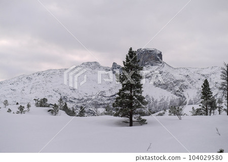 Arctic Norway in Winter Arctic Norway in Winter 104029580