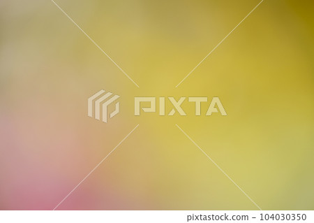 溫暖的春日,連翹和杜鵑花的模糊背景素材 溫暖的春日,連翹和杜鵑花的模糊背景素材 104030350