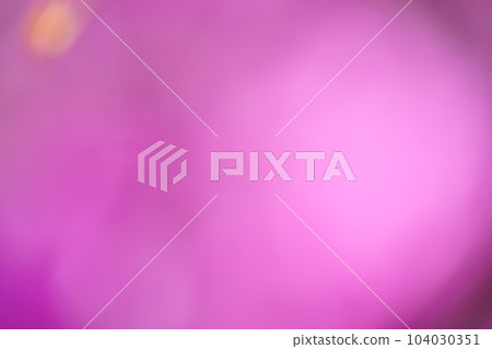 溫暖的春日，杜鵑花的底紋背景素材 104030351