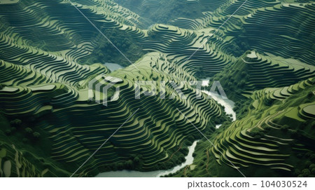 Rice fields on terraced in Northwest of Vietnam, Rice terraces at Mugang Chai. 104030524