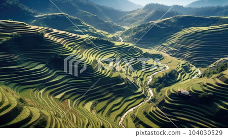 Landscape of the terraced rice fields at Mugang Chai during the farming season in Vietnam. 104030529