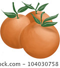 Oranges 104030758