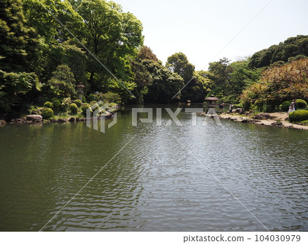 Green square Green square 104030979