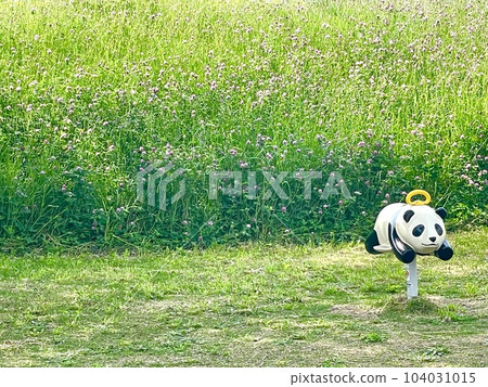 在綠草如茵的初夏公園裡騎可愛的熊貓 在綠草如茵的初夏公園裡騎可愛的熊貓 104031015