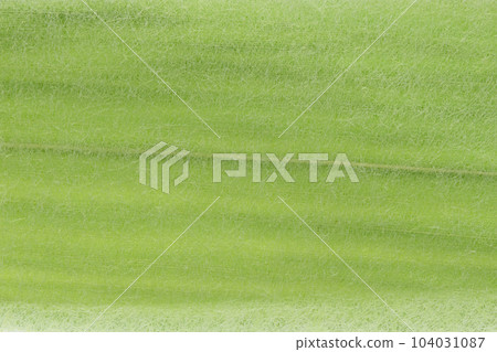 Lettuce green expression with Japanese paper and bamboo (background material) 104031087