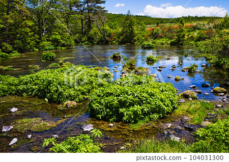 Gudari swamp Gudari swamp 104031300