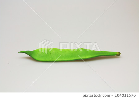 Moroccan Green Green Beans Fresh Healthy Vegetables Moroccan Green Green Beans Fresh Healthy Vegetables 104031570