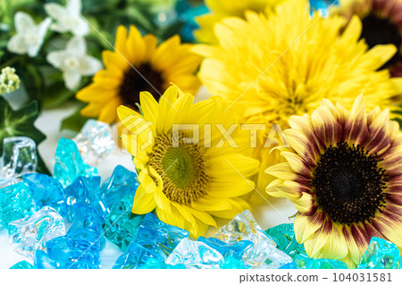 夏天的向日葵 104031581
