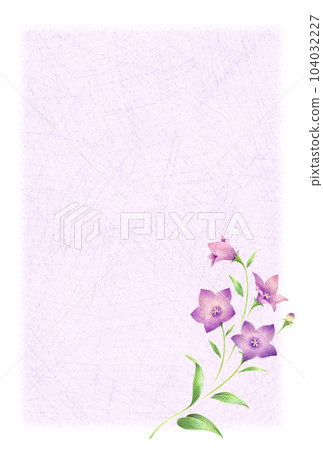 紫色風鈴草花明信片模板簡單與背景手繪彩色鉛筆劃 104032227
