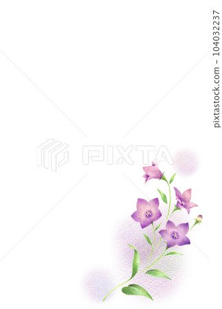 紫色風鈴草花卉明信片模板簡單模糊手繪彩色鉛筆劃 104032237