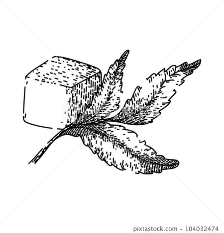 stevia food sugar sketch hand drawn vector stevia food sugar sketch hand drawn vector 104032474