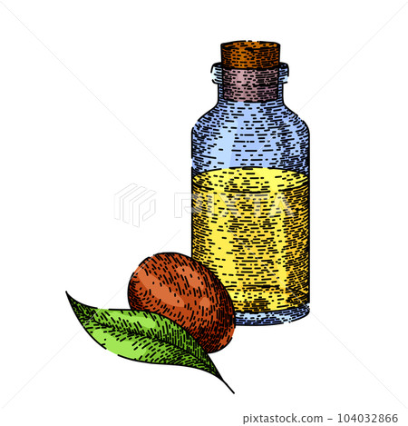 jojoba oil bottle sketch hand drawn vector jojoba oil bottle sketch hand drawn vector 104032866