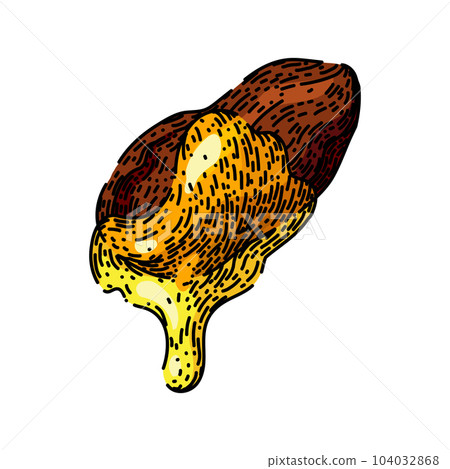 jojoba oil yellow sketch hand drawn vector jojoba oil yellow sketch hand drawn vector 104032868