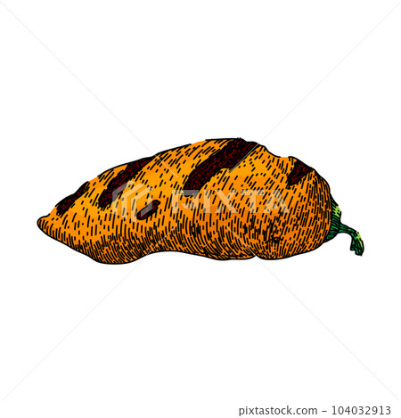 potato grilled vegetables sketch hand drawn vector potato grilled vegetables sketch hand drawn vector 104032913