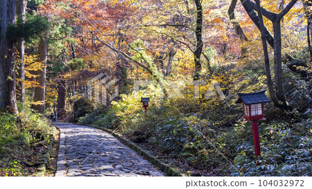 大山紅葉(大山寺周邊) 大山紅葉(大山寺周邊) 104032972