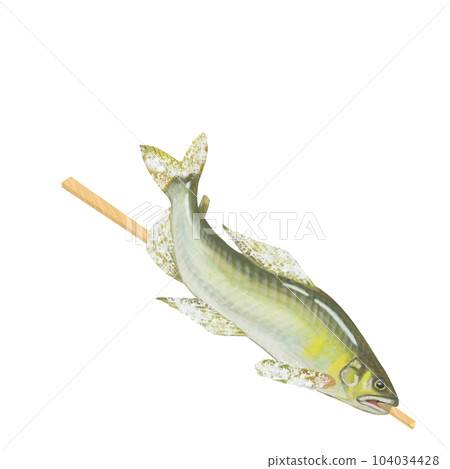 Salt-grilled sweetfish illustration 104034428