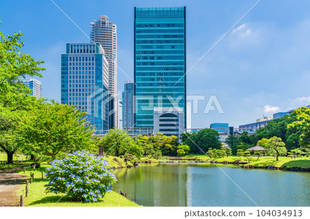 (Tokyo) Kyu-Shiba Rikyu Gardens in early summer with beautiful blue skies, fresh greenery, and blue hydrangeas 104034913