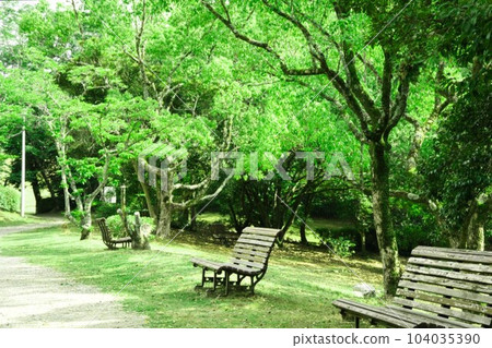 A small shade under the summer trees A small shade under the summer trees 104035390