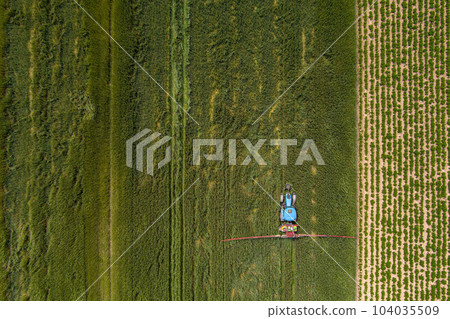 Tractor spraying oat fields 104035509