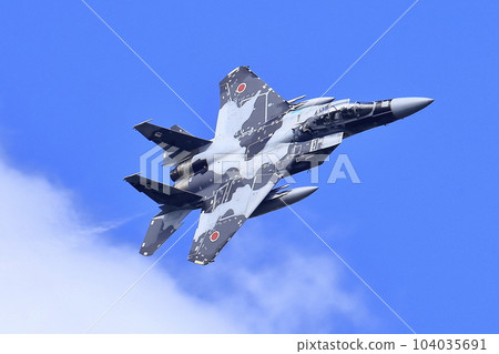 F-15 Fighter (Aggressor Squadron) F-15 Fighter (Aggressor Squadron) 104035691