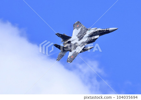 F-15 Fighter (Aggressor Squadron) F-15 Fighter (Aggressor Squadron) 104035694