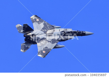 F-15 Fighter (Aggressor Squadron) 104035697